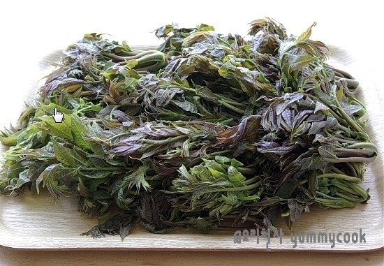 가죽나물장아찌