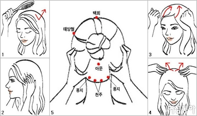 두피와 모발 건강하게 관리하는 솔루션, 헤어 트레이닝 20